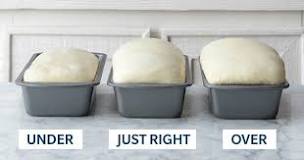 Where is the best place to prove bread dough?