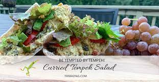 Curried Tempeh Salad Sandwich Vegan In 2020 Tempeh Recipes Sandwiches gambar png