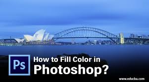how to fill color in photo