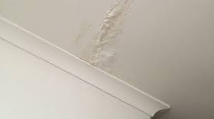 Again, call a plumber or a. My Roof Is Leaking What To Do My Melbourne Plumber