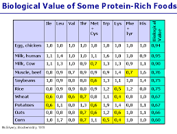 Protein And Biological Value