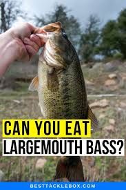 can you eat largemouth b the