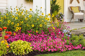 How To Create A Colorful Garden The