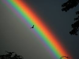 el mensaje del arco iris nueva