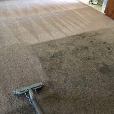 guarantee system carpet cleaning dye