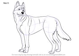 Draw a small curved line below the neck. Learn How To Draw A Husky Dogs Step By Step Drawing Tutorials