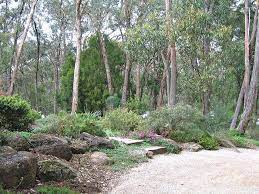 australian native garden