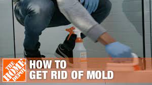 how to get rid of mold the