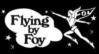 Image result for flying by foy