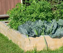 How Deep Should A Raised Garden Bed Be