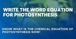 Word Equation For Photosynthesis