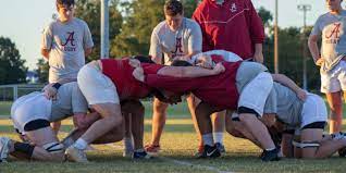 new look for bama rugby mosaic