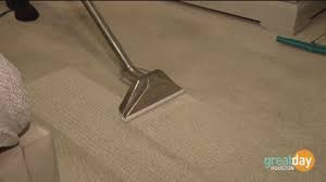 dirt free carpet helps your floors look