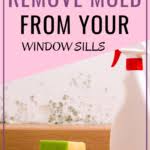 Make a solution of bleach and water. The Best Ways For Tackling Mold On Window Sills Simply And Effectively