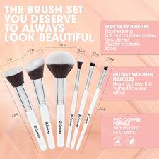 foundation blush powder brush set