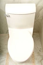 how to clean the hinges on a toilet seat