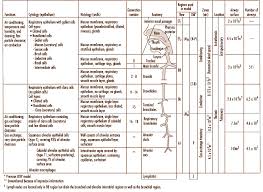 Respiratory Histology Chart Respiratory System Health