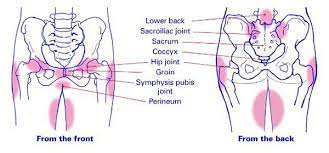 what is pelvic girdle pain the