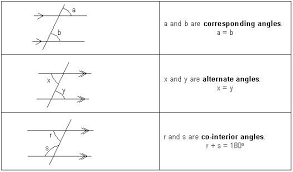 angles parallel lines geometry tutorial