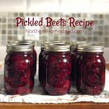 pickled beets recipe northern homestead