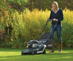 Top Mowers For The Small To Medium