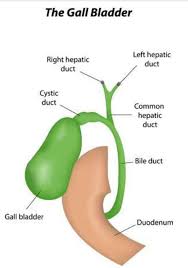 indian t plan for gall bladder