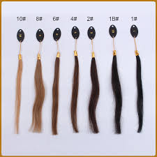 Lace Wigs Hair Color Chart Orderwigsonline