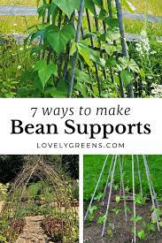 Bean Supports For Climbing Beans
