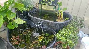 25 Diy Ponds To Bring Life To