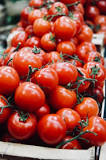 Are tomatoes allowed on FODMAP?