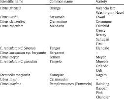 A series of four case reports. Scientific And Common Names Variety Of Citrus Fruits Download Table