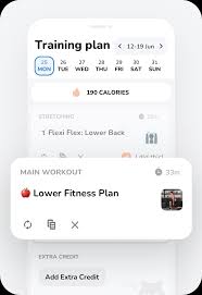 workout planner workout calendar