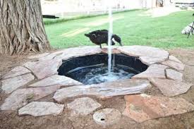 21 Innovative Duck Pond Ideas To Suit