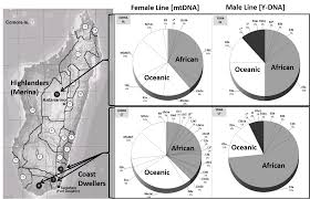 The Malagasy Language Genes And Gender Puzzle Languages