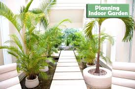 10 Tips For Planning Your Indoor Garden