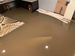 Dealing with a basement flood. Watch Now Flood Waters Overwhelm Lake George Dam Basements And Streets Lake County News Nwitimes Com