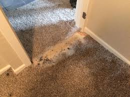 carpet patching solutions by carpets