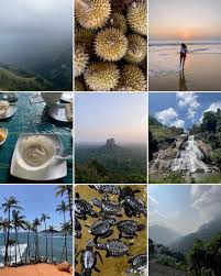 sri lanka travel guide 2024 4 day