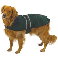 Casual Canine Reflective Dog Jacket
