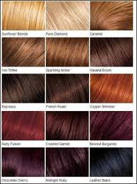 16 Ideas Hair Color Chart Blonde Vidal Sassoon Hair Color