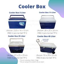 vaccine carrier box cold chain packs