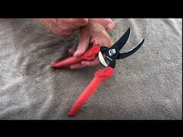 sharpening hand pruners you