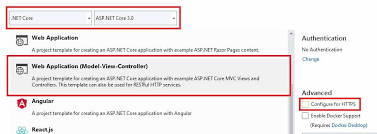 login with asp net core ideny