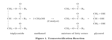 Reaction For Biodiesel Ion