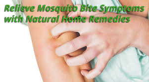 remes for mosquito bites