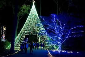 best botanical garden holiday lights