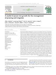 Pdf A Model Of Pecan Tree Growth For The Management Of