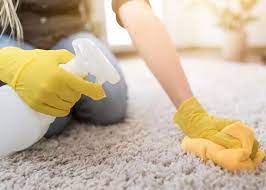 leading carpet cleaning specialist in