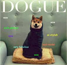Use dogecoin to make a dogecoin! Doge The Best Of The Doge Meme Doge Meme Memes Funny