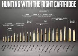 The Right Caliber For Game Chart Aldeer Com